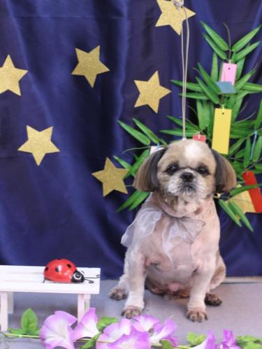 20230719ココロくん